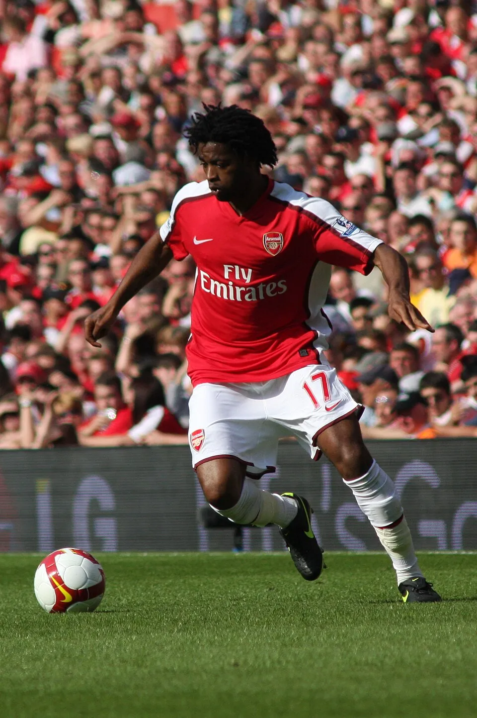 Alex Song fotoğrafı