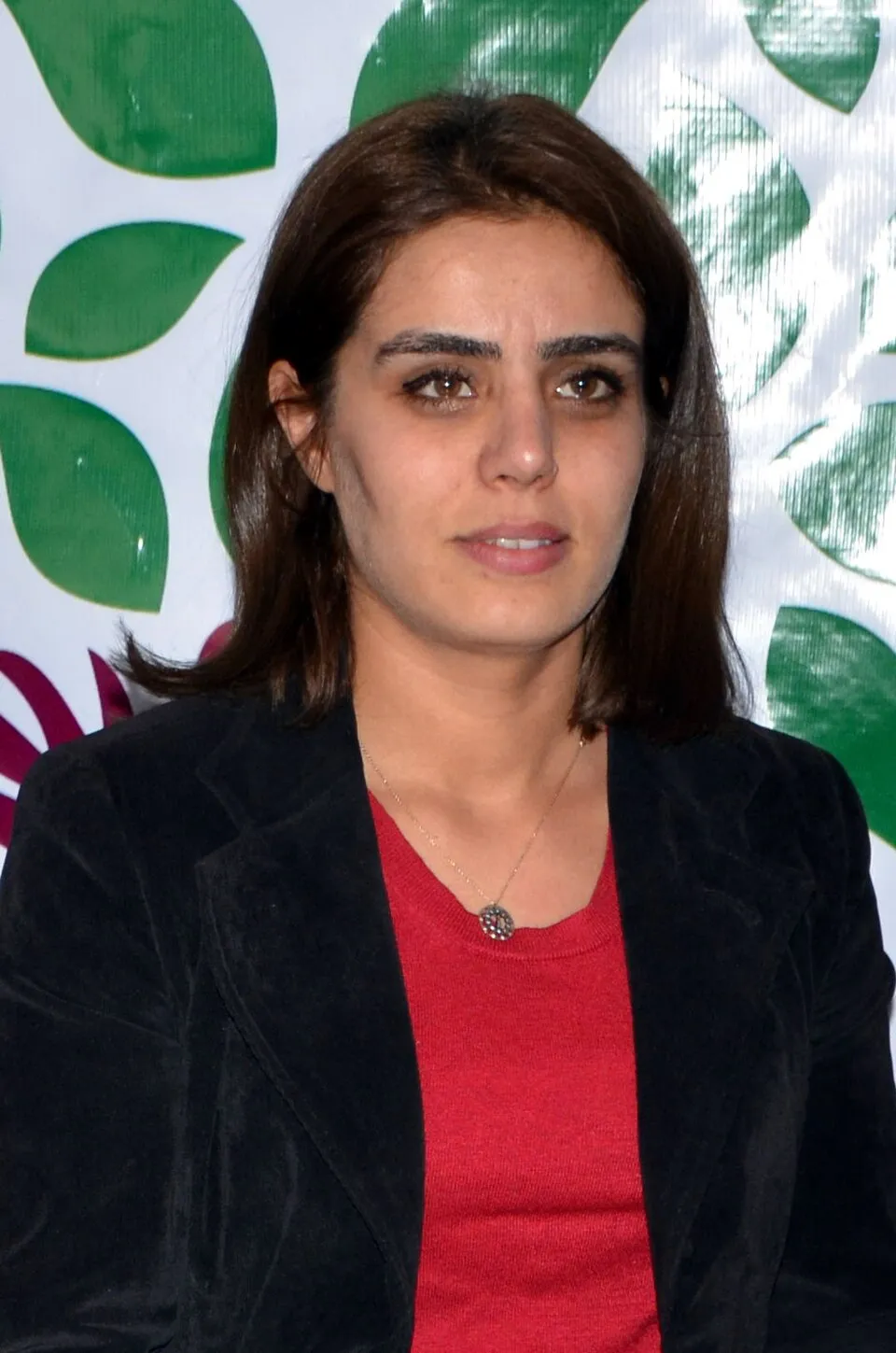 Ayşe Acar Başaran fotoğrafı