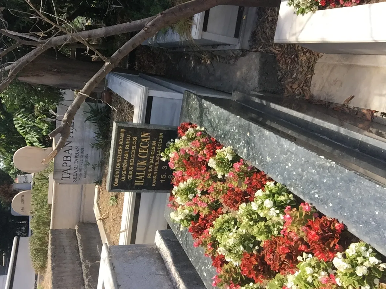 Haluk Cecan fotoğrafı