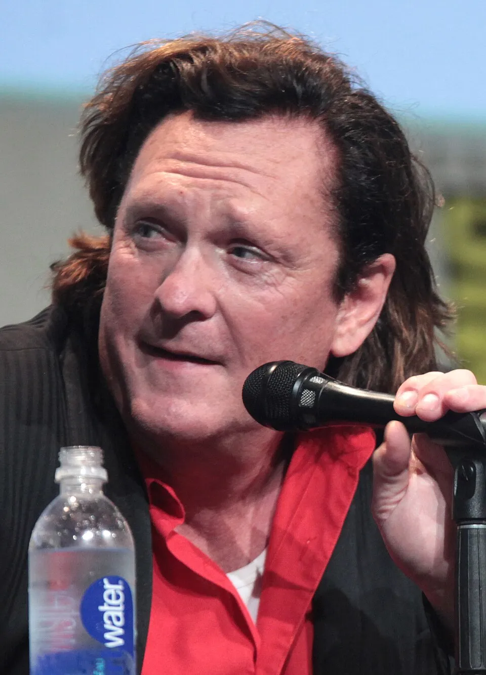 Michael Madsen fotoğrafı