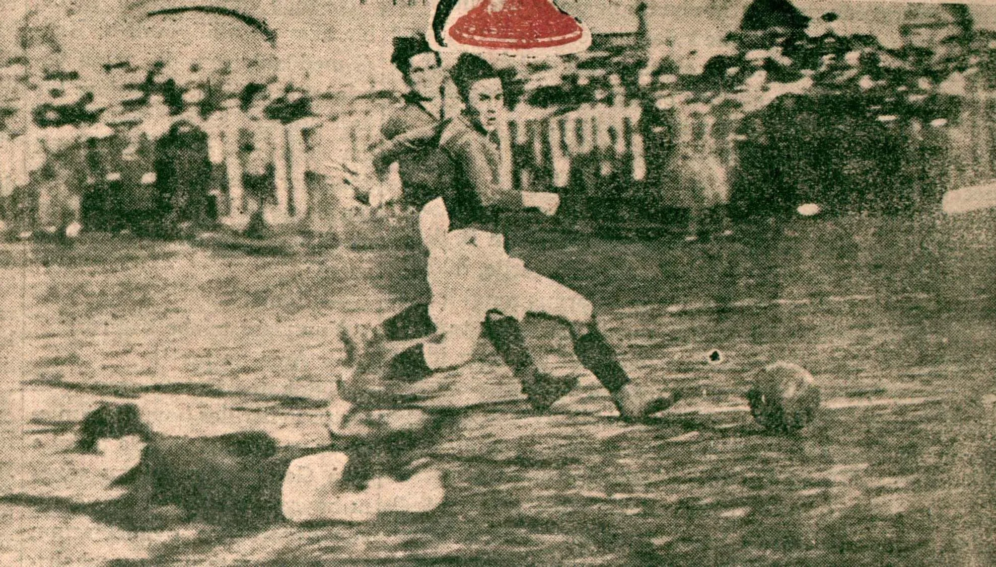 Muzaffer Çizer fotoğrafı