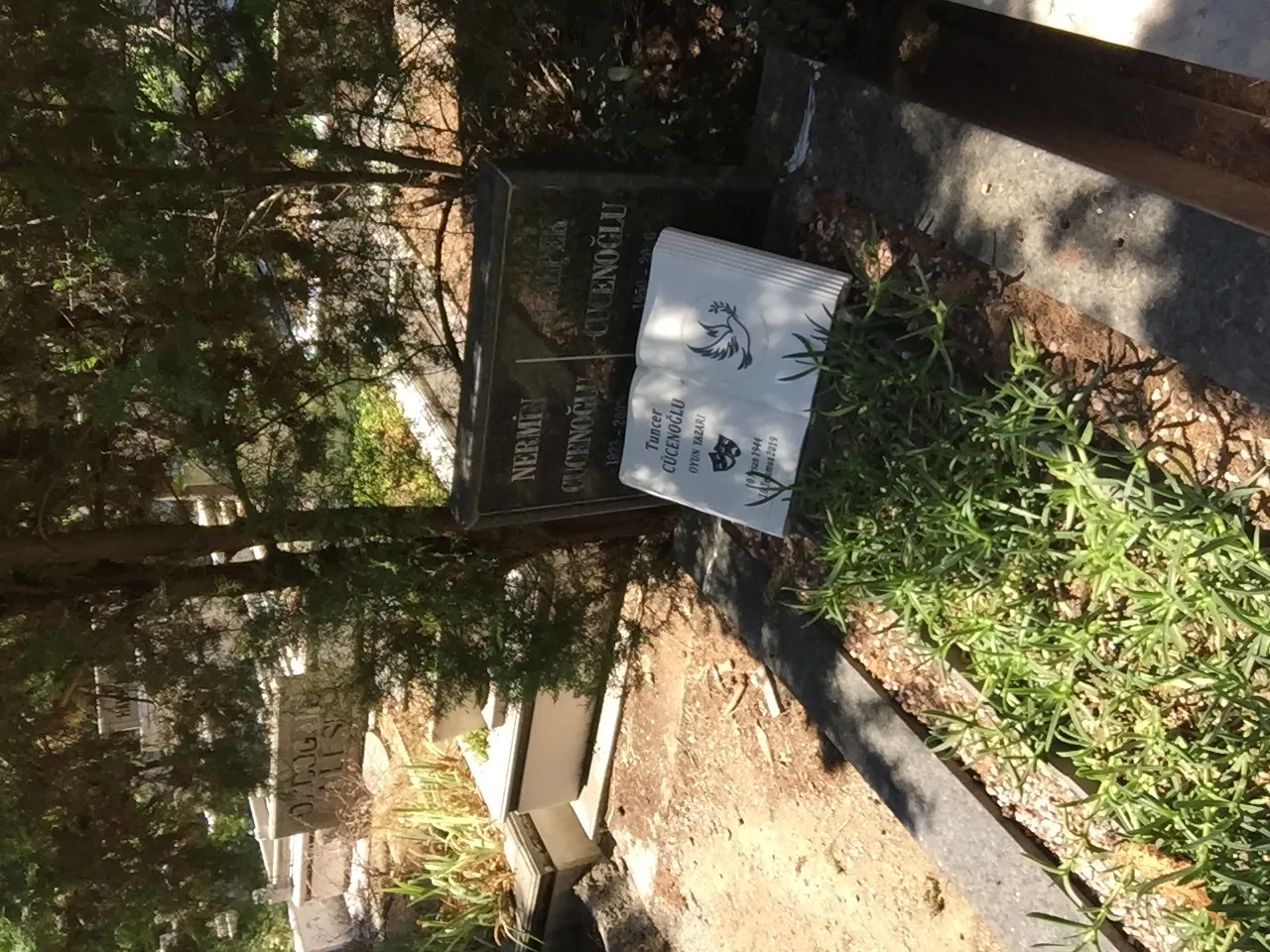 Tuncer Cücenoğlu fotoğrafı