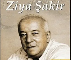 Ziya Şakir Soku fotoğrafı