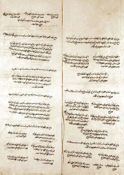 Fransız Rönesans yazarı ve arşivci Antoine du Pinet'in 1564 yılında kaleme aldığı kitabının 247. sayfasında deprem hakkında yer verdiği tasvir ve detaylar