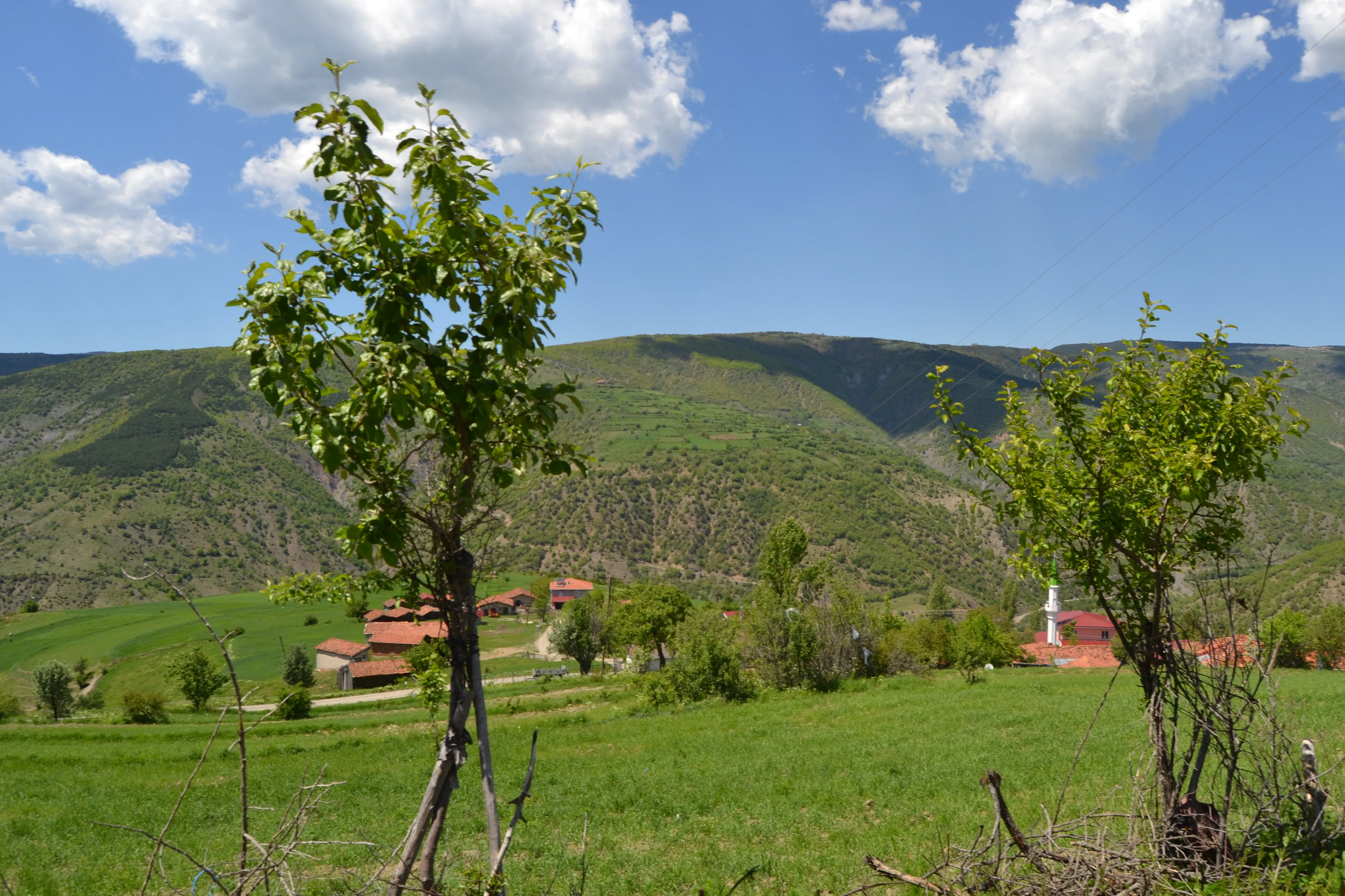 Kovanlı Köyü