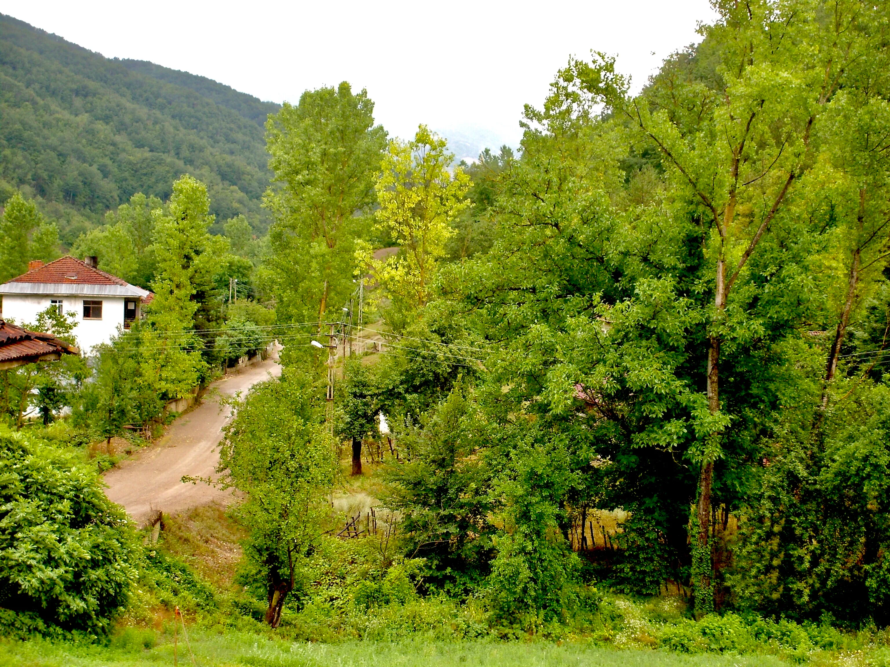 Dere mahallesi, Arpacık