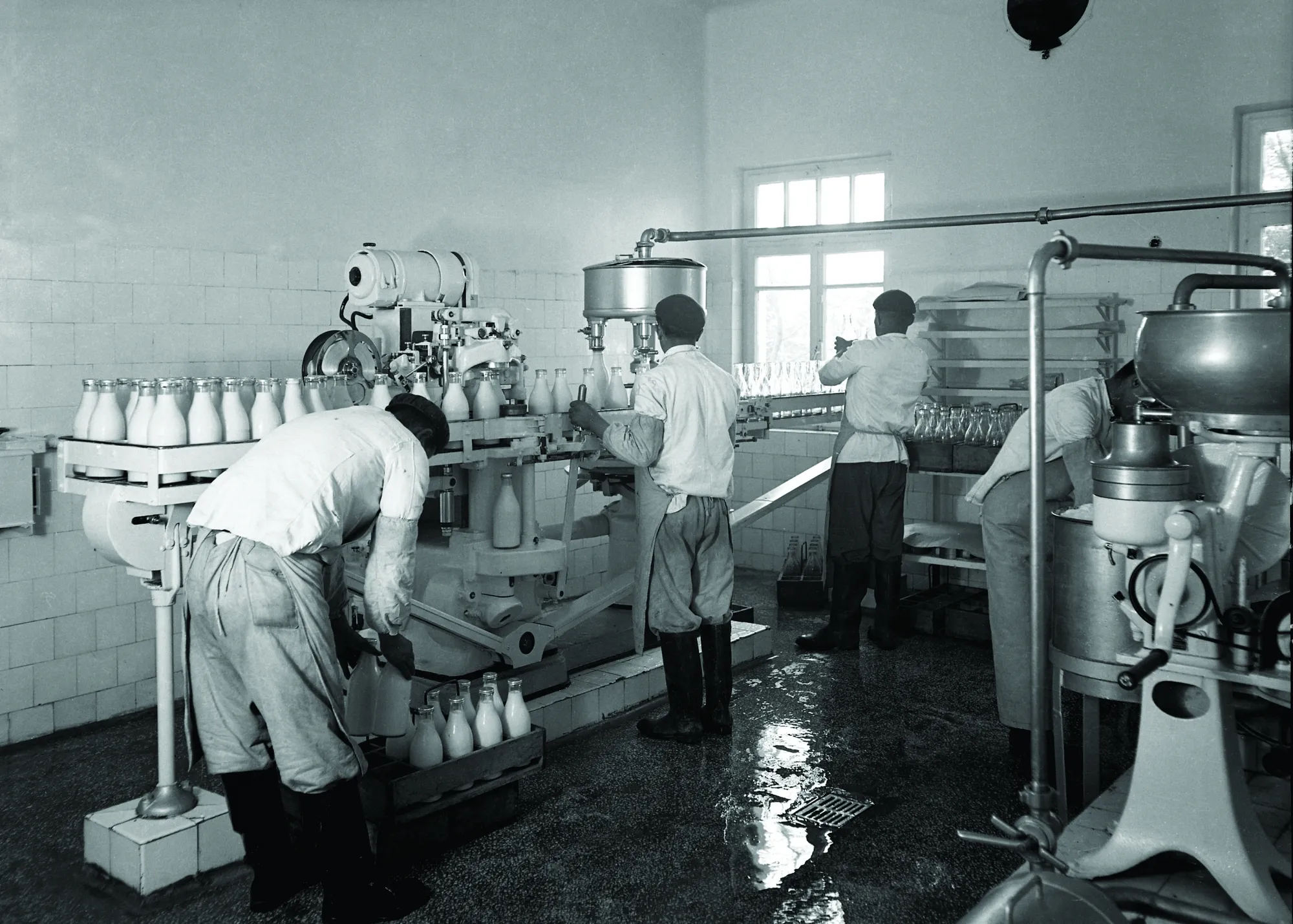 Gazi Orman Çiftliği Pastörize Süt Fabrikası, 1939