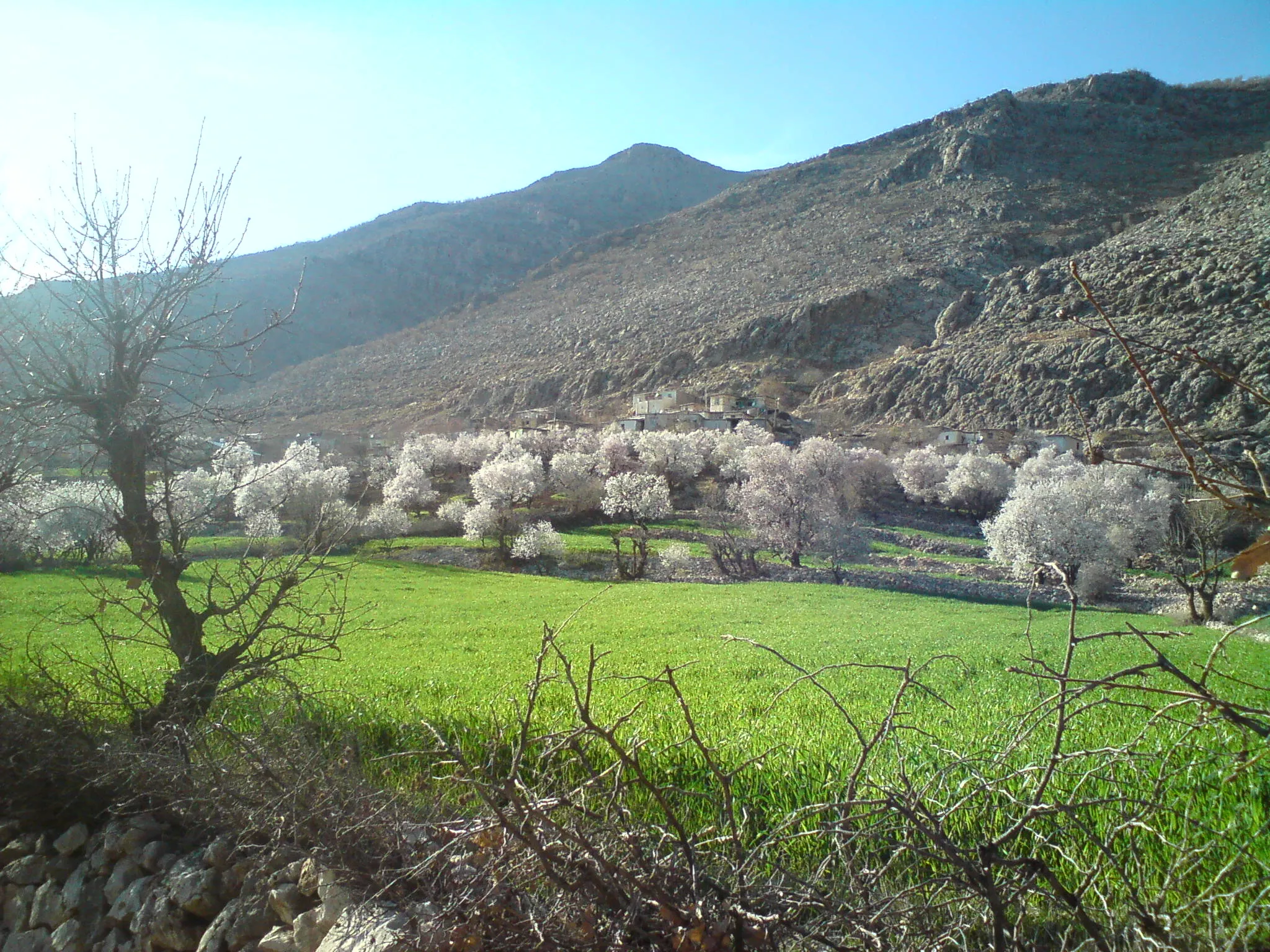 Köyden bir görünüm