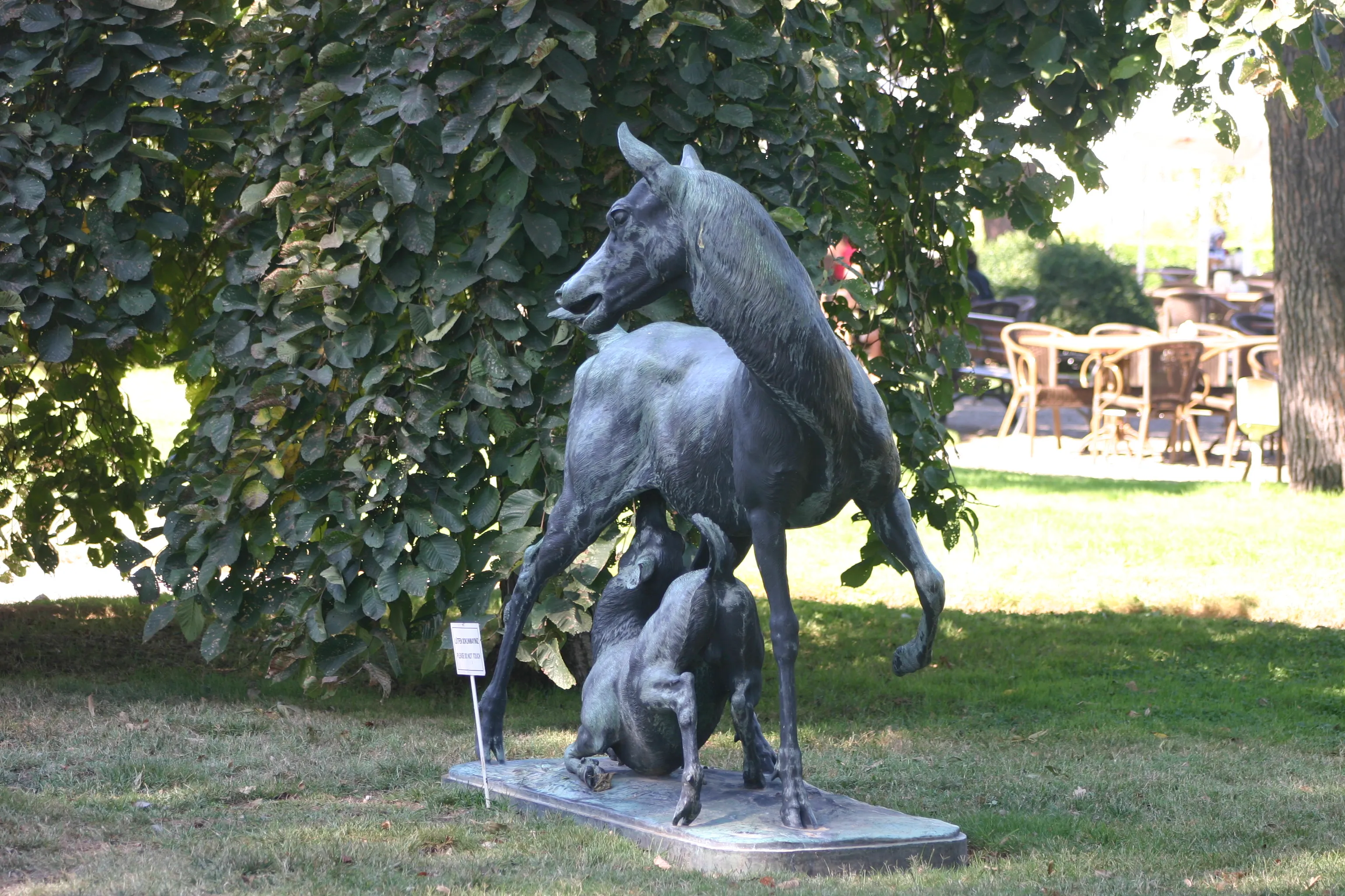 Görsel