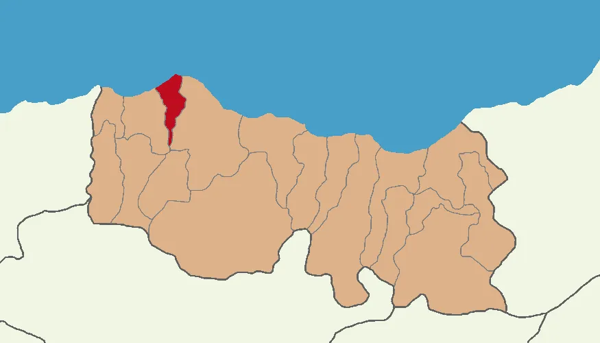 Çarşıbaşı'ın Trabzon'daki konumu
