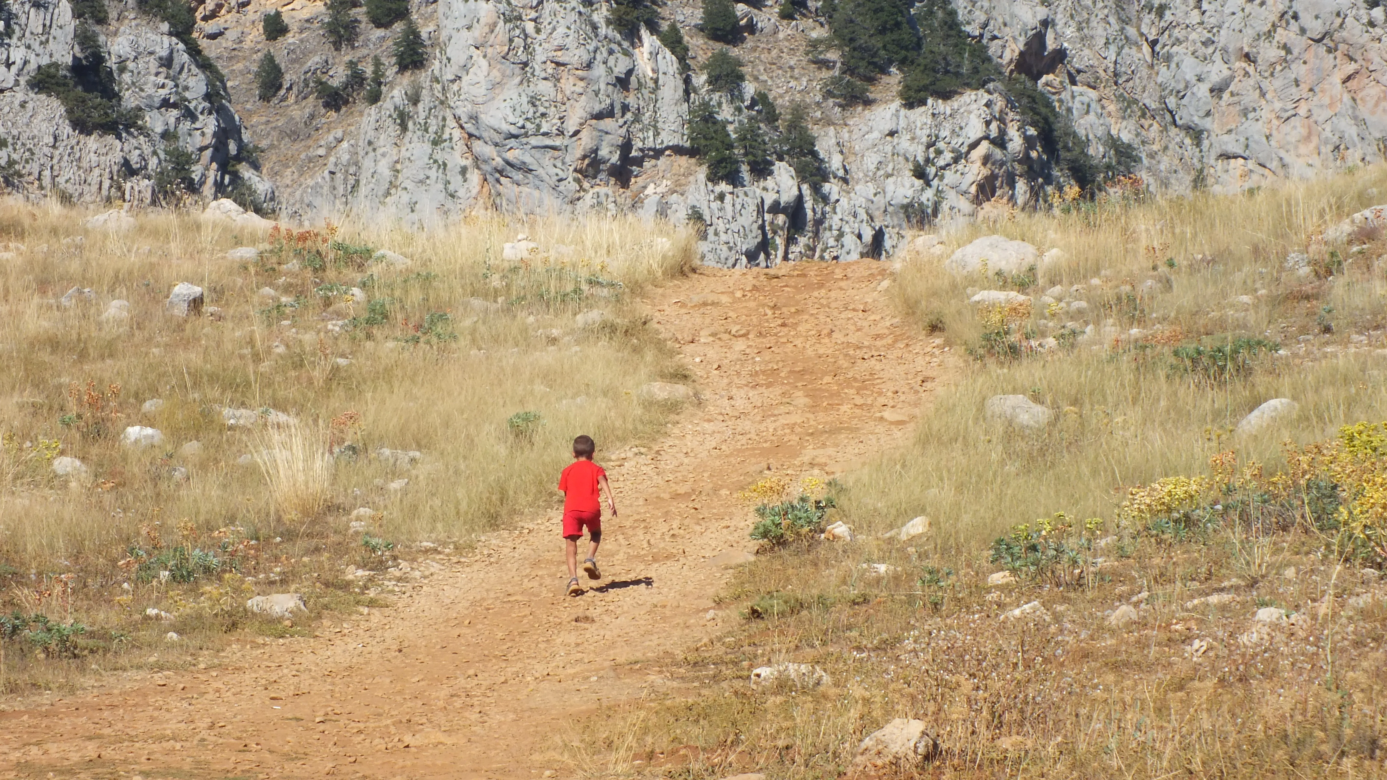 Görsel