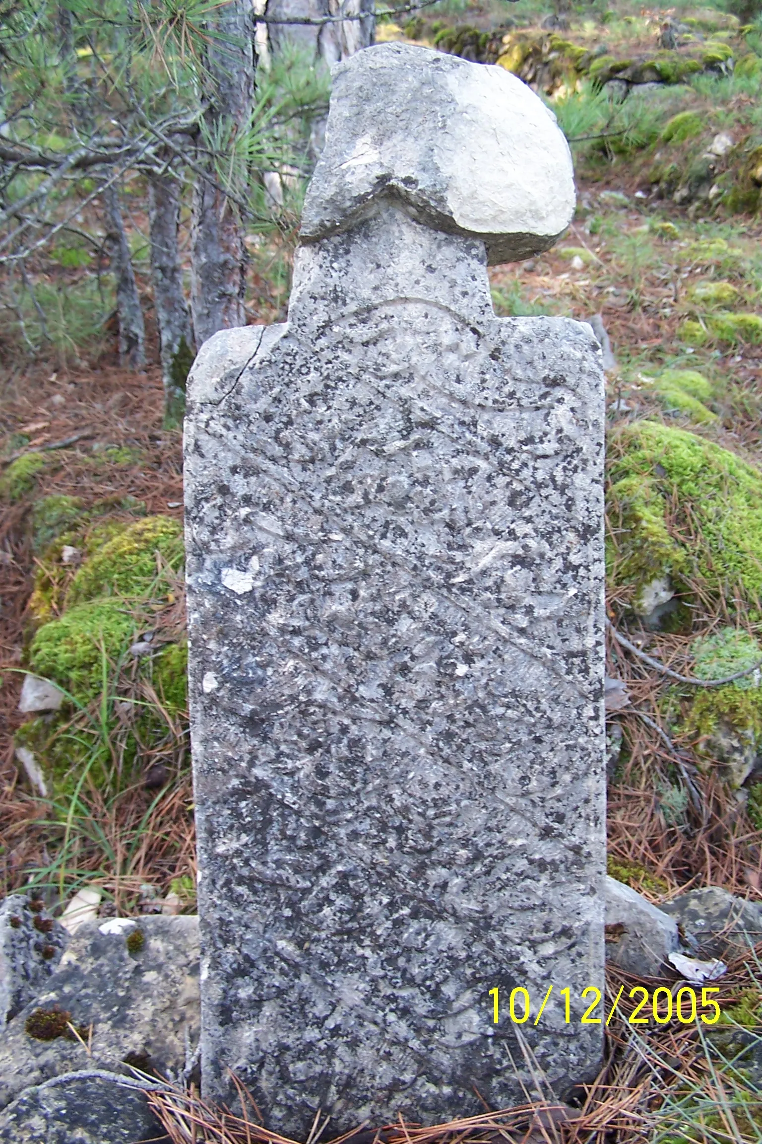 Görsel