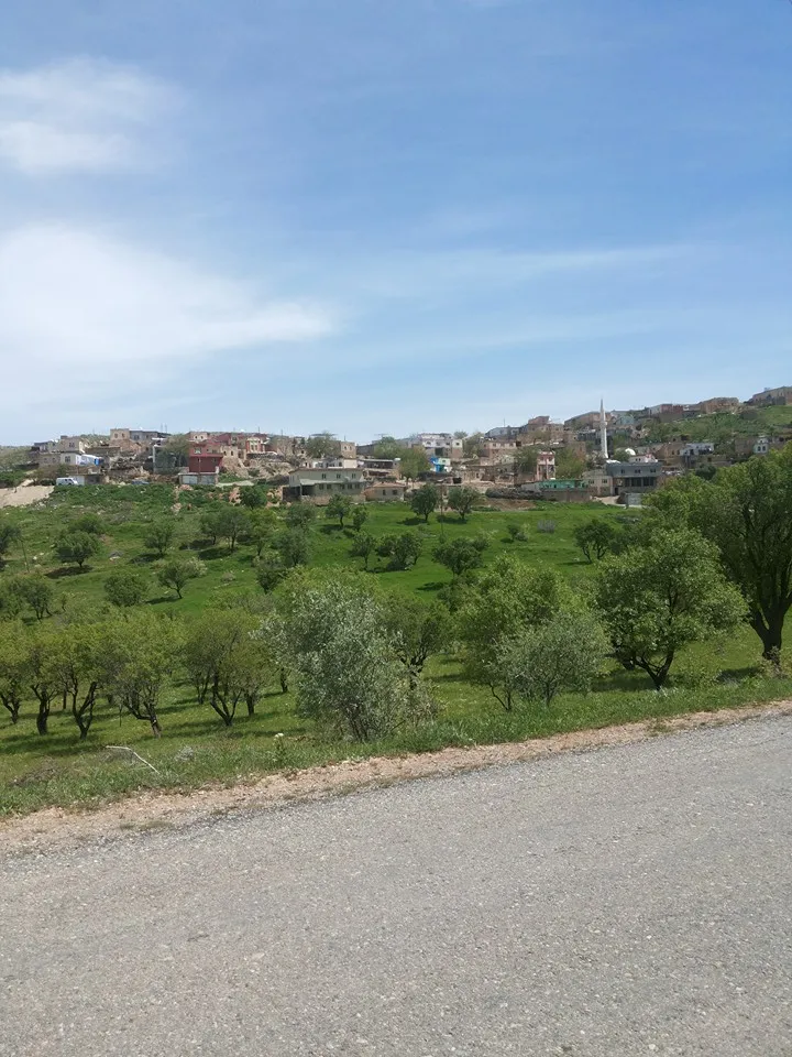 Doruk Köyünün uzaktan çekilmiş bir fotoğrafı
