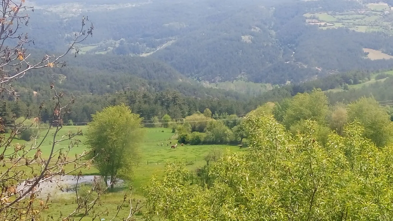 Görsel
