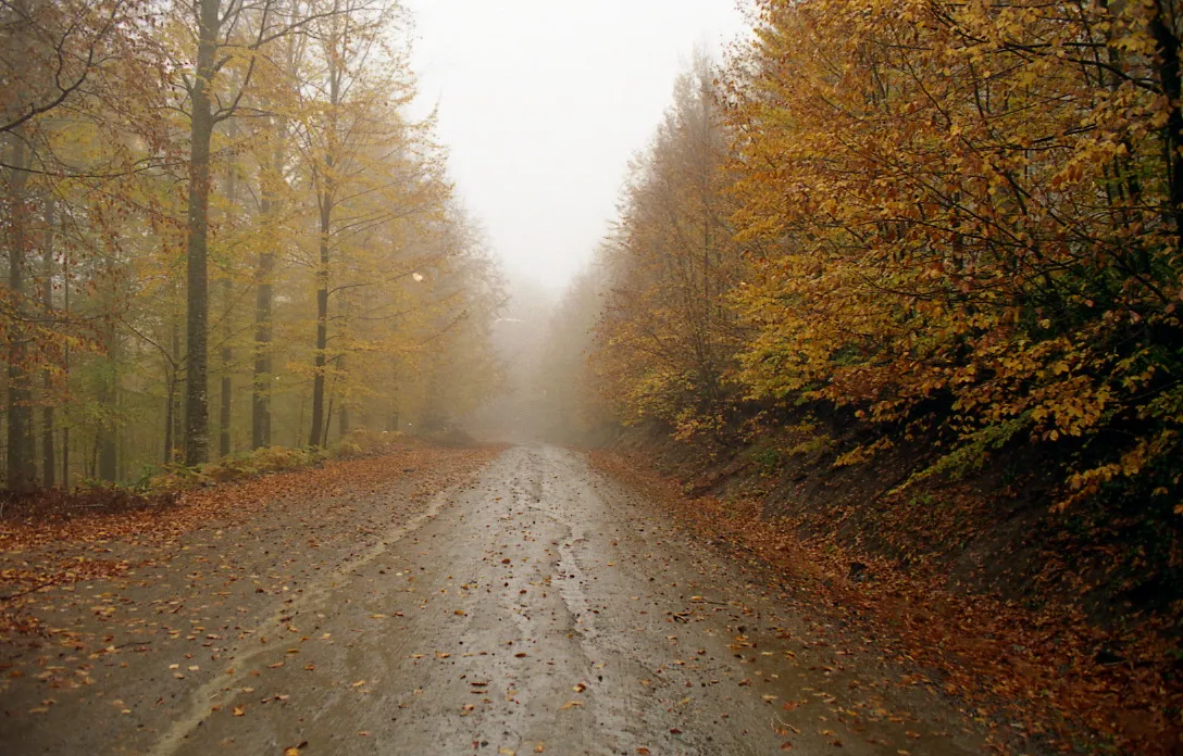 Gölyaka'dan geçen ve Pürenni Yaylası'na uzanan yol (Ağustos 2008)
