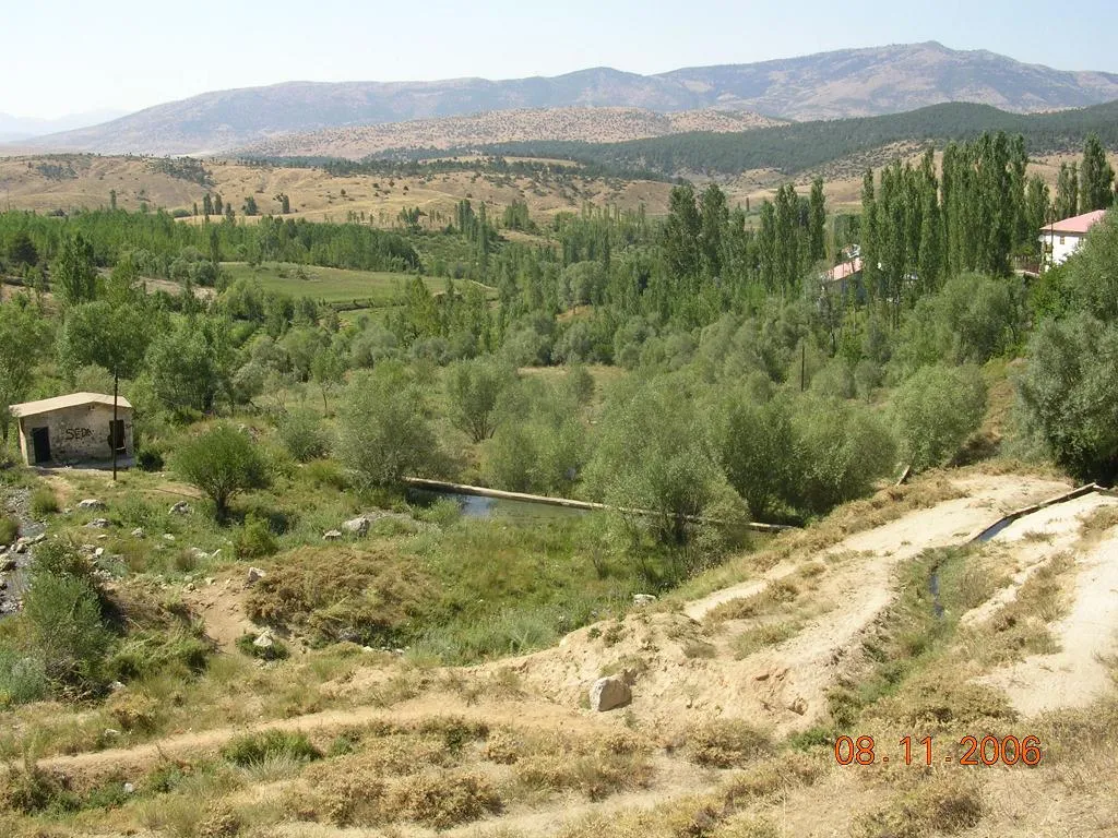 Göz