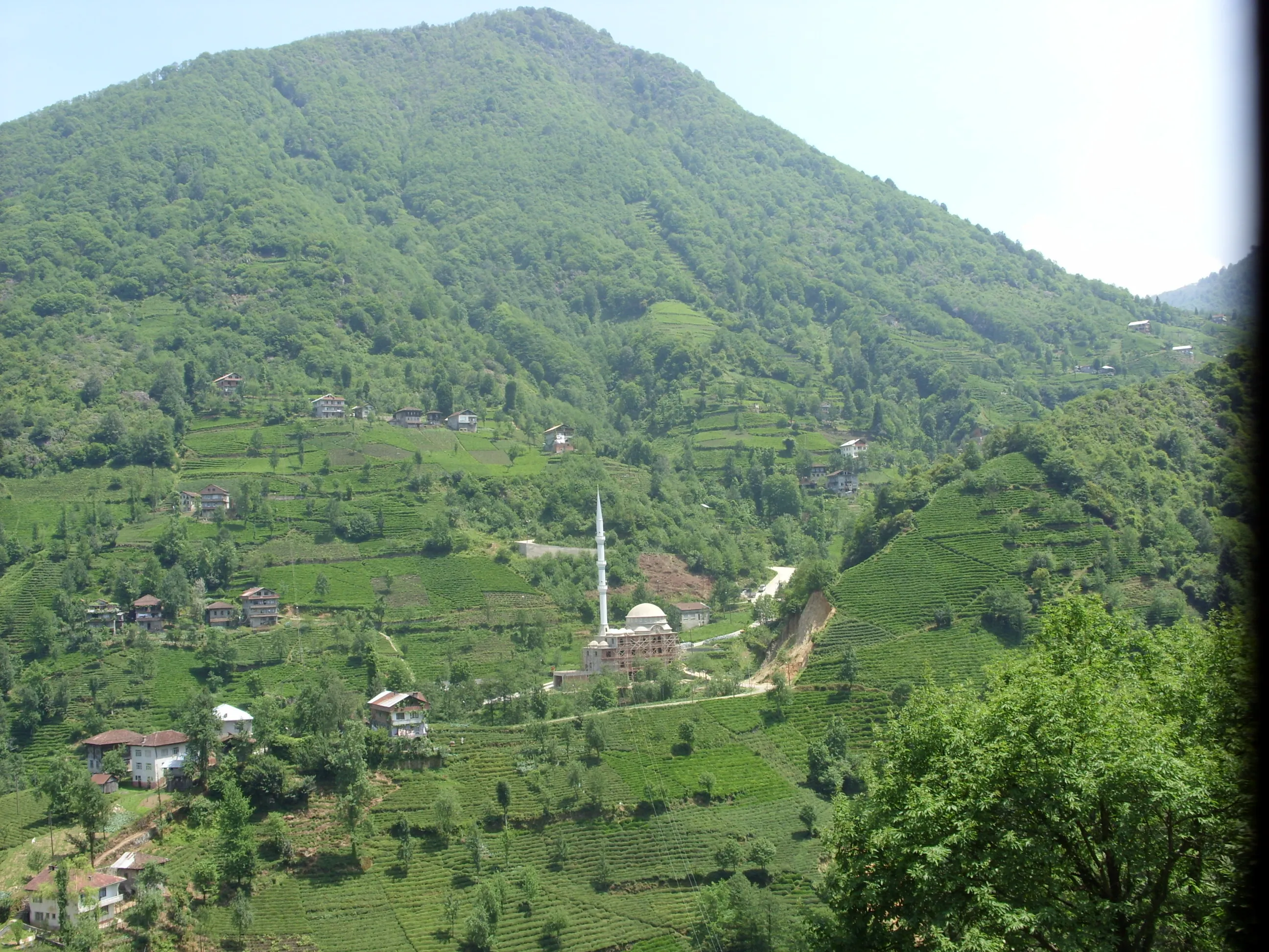 Asmalıırmak Köyü, 2010