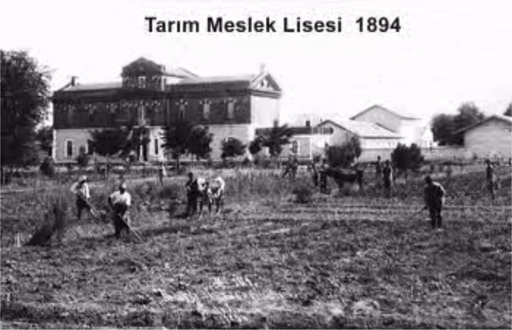 Görsel