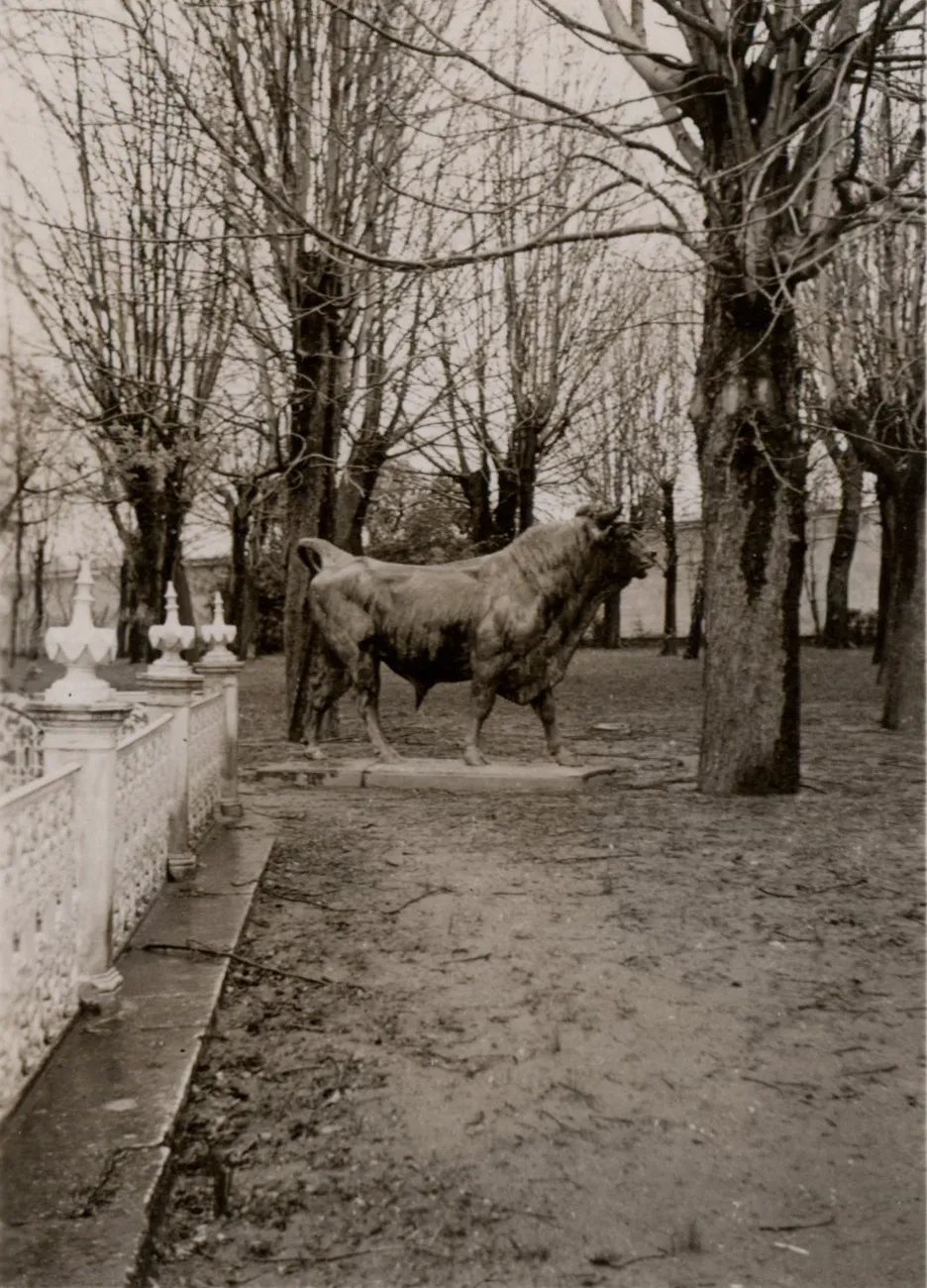 Görsel