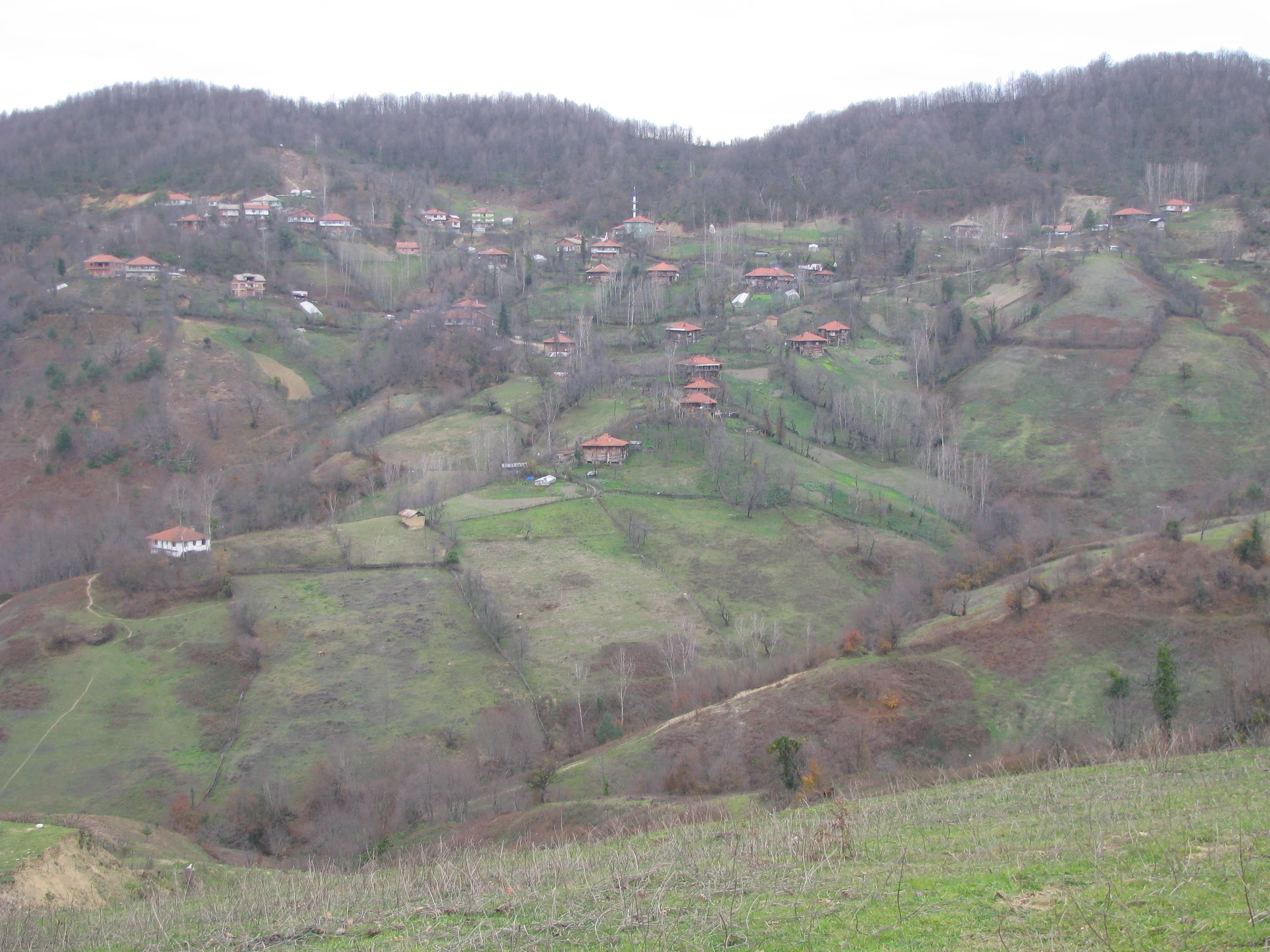 Köyden bir görünüm