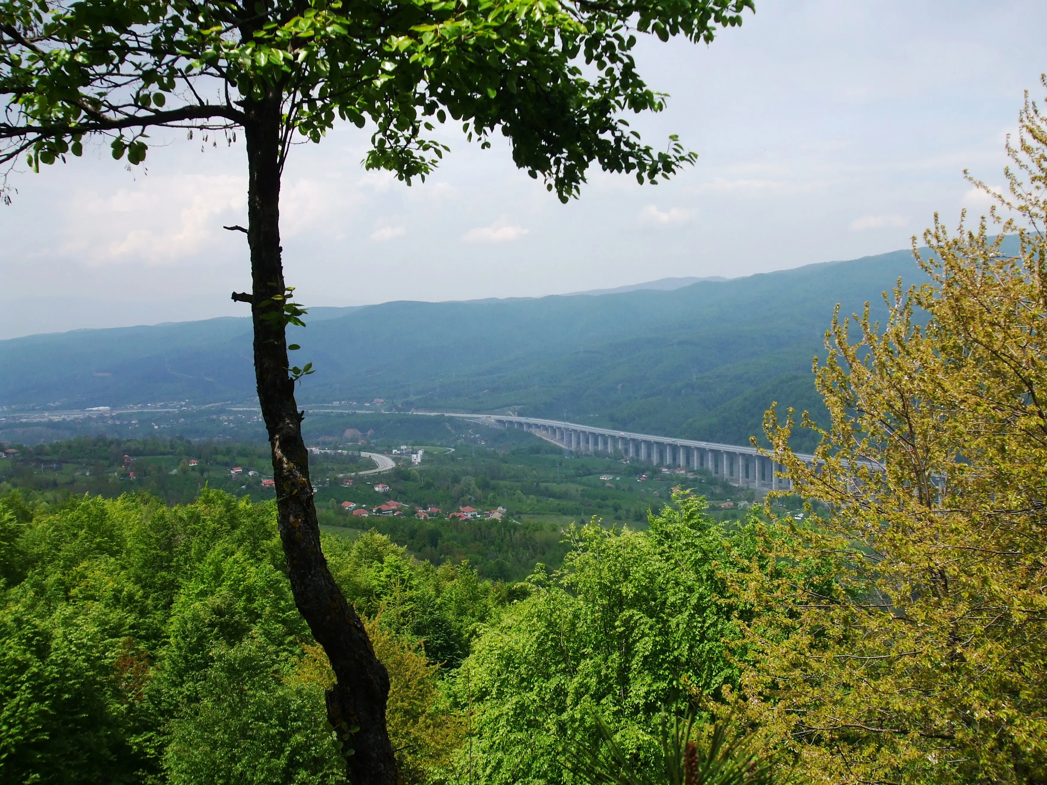 Bolu Dağları