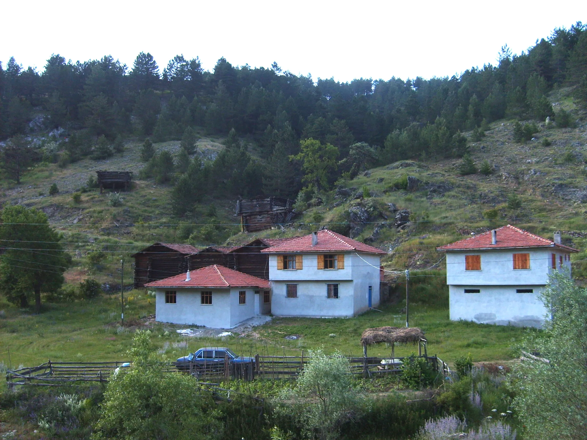 Köyden bir görünüm (Temmuz 2008)