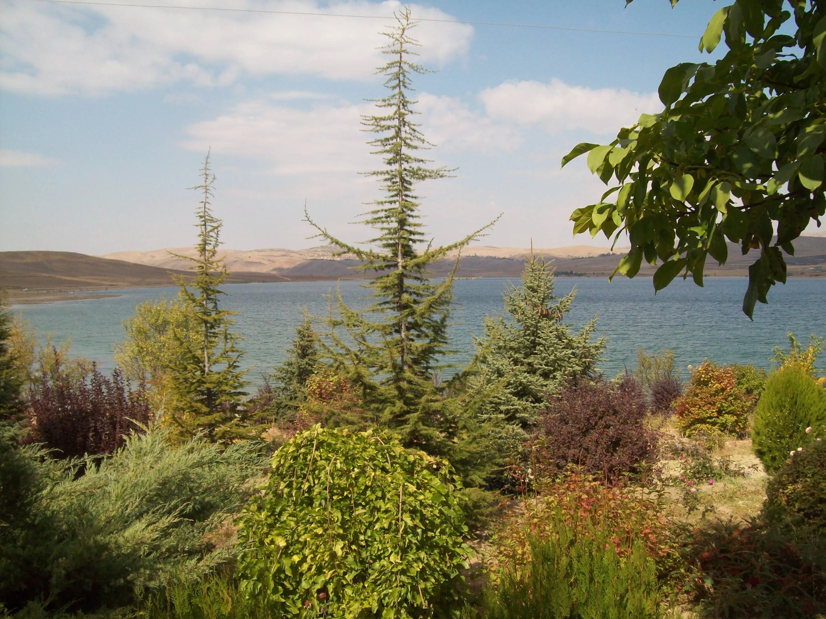 Çuğun (Çoğun) gölü.