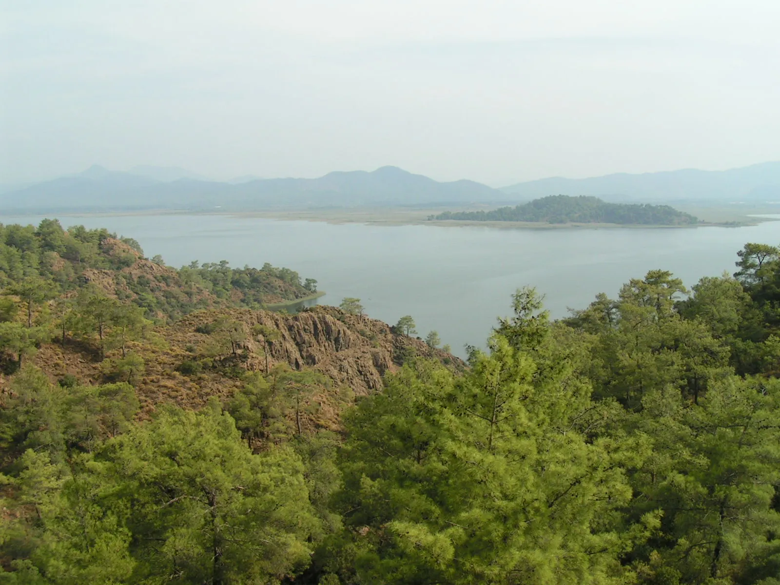 Görsel