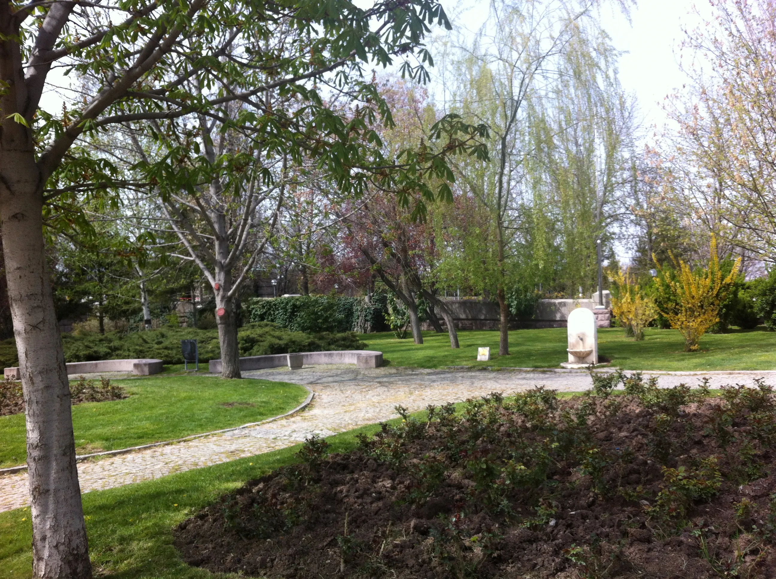 Yürüyüş yolu