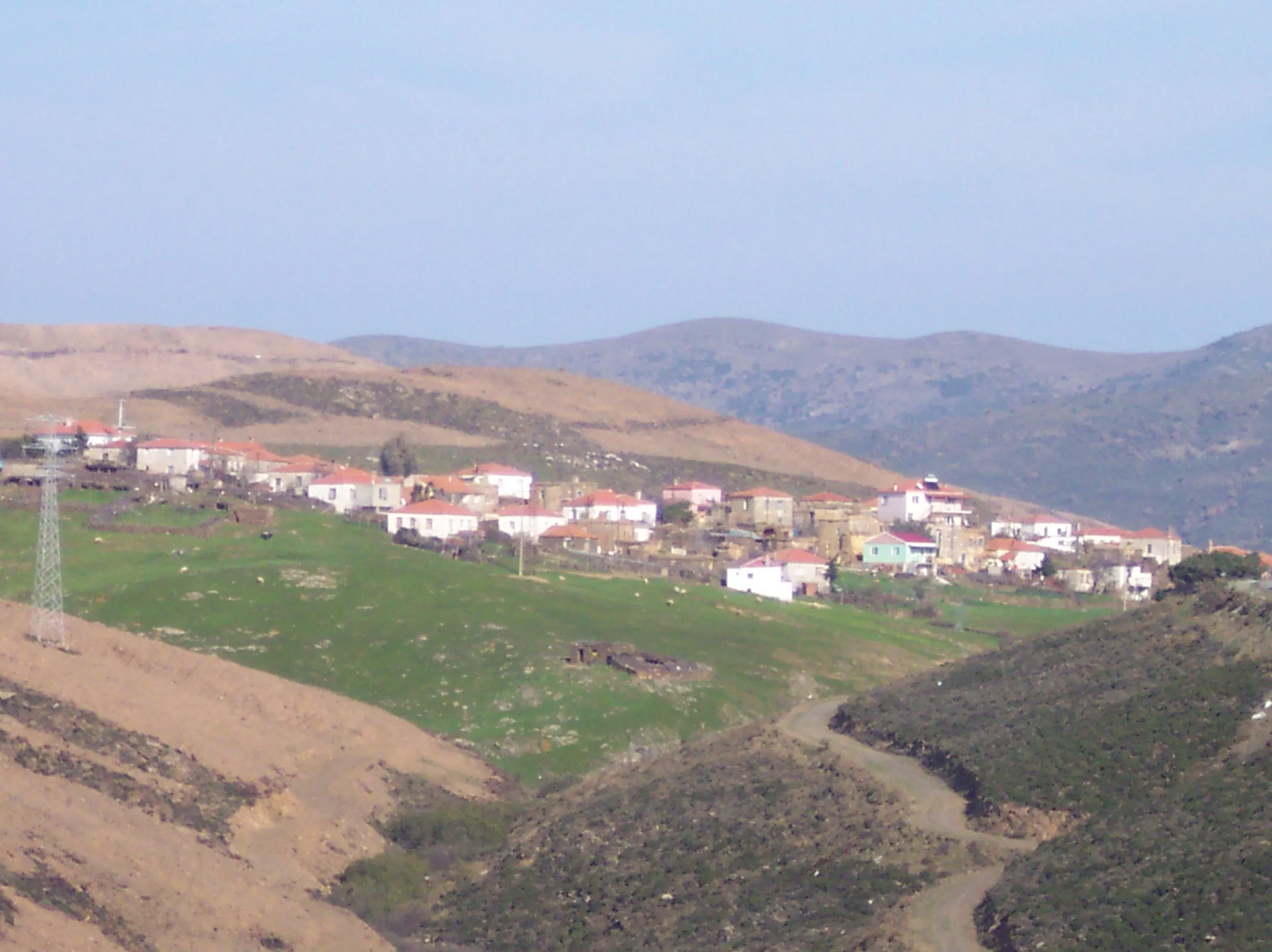 Parlak