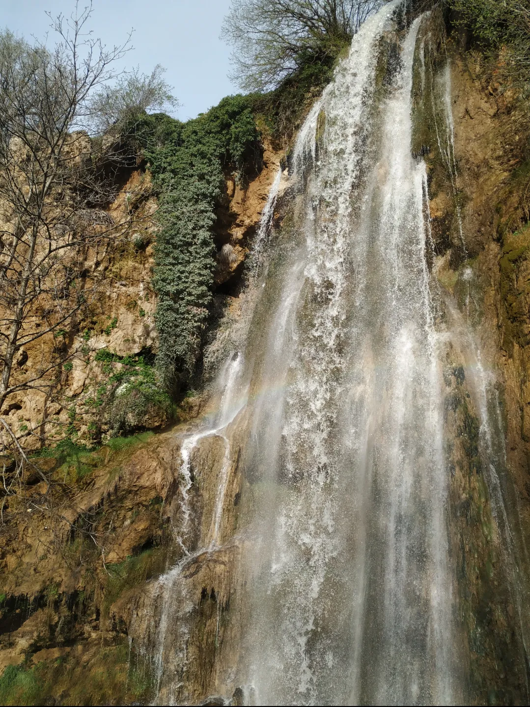 Görsel