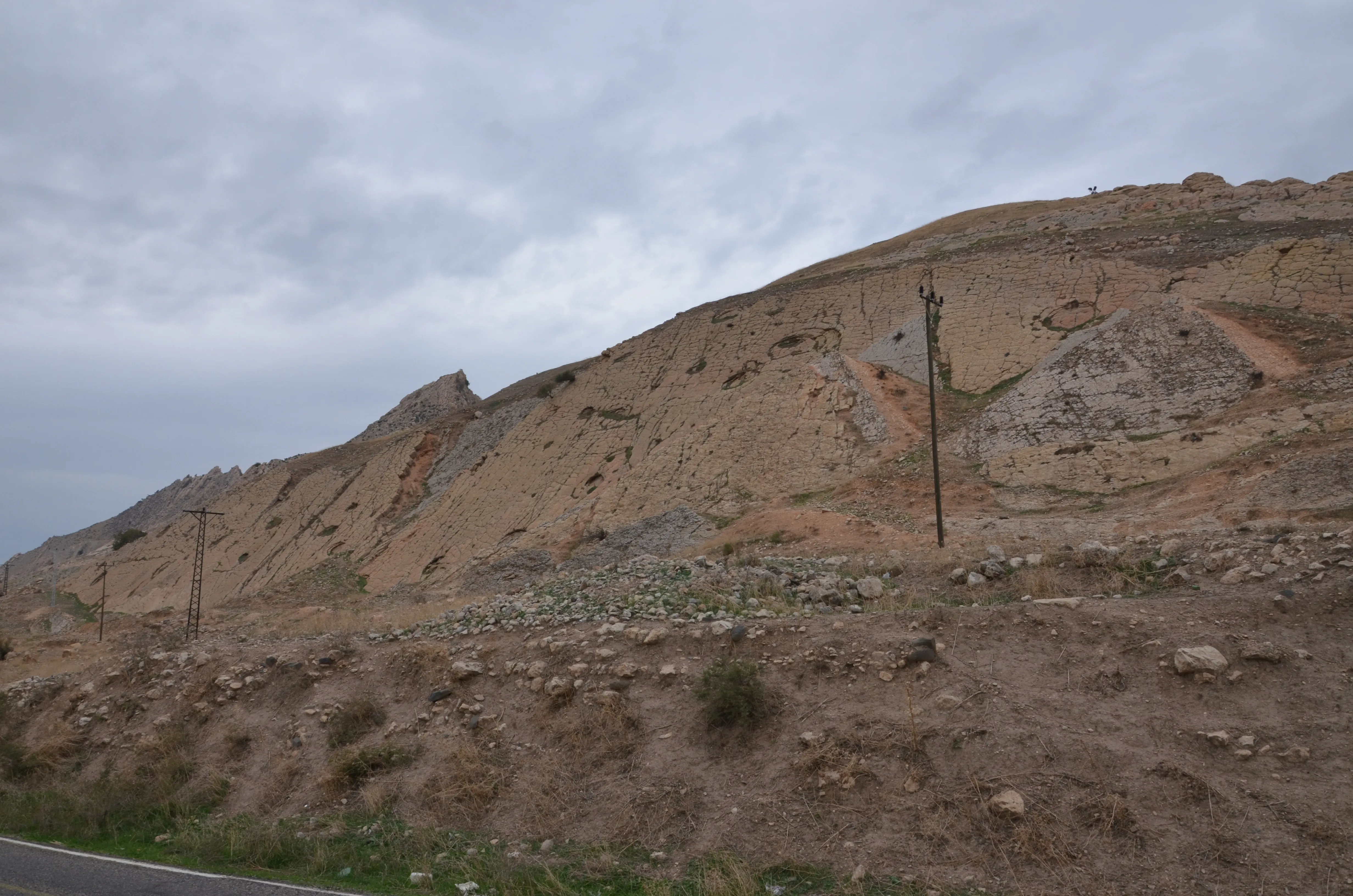 Görsel
