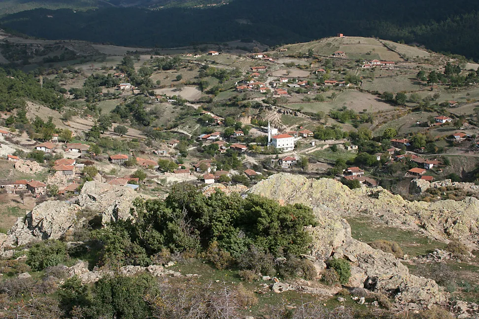 {{{açıklama}}}