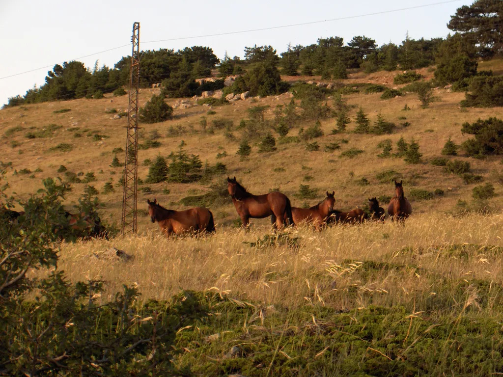 Spil Dağı Millî Parkı - Spil National Park