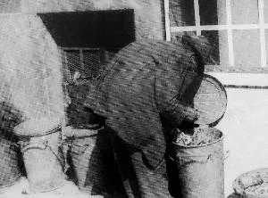Görsel