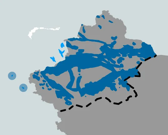 Görsel