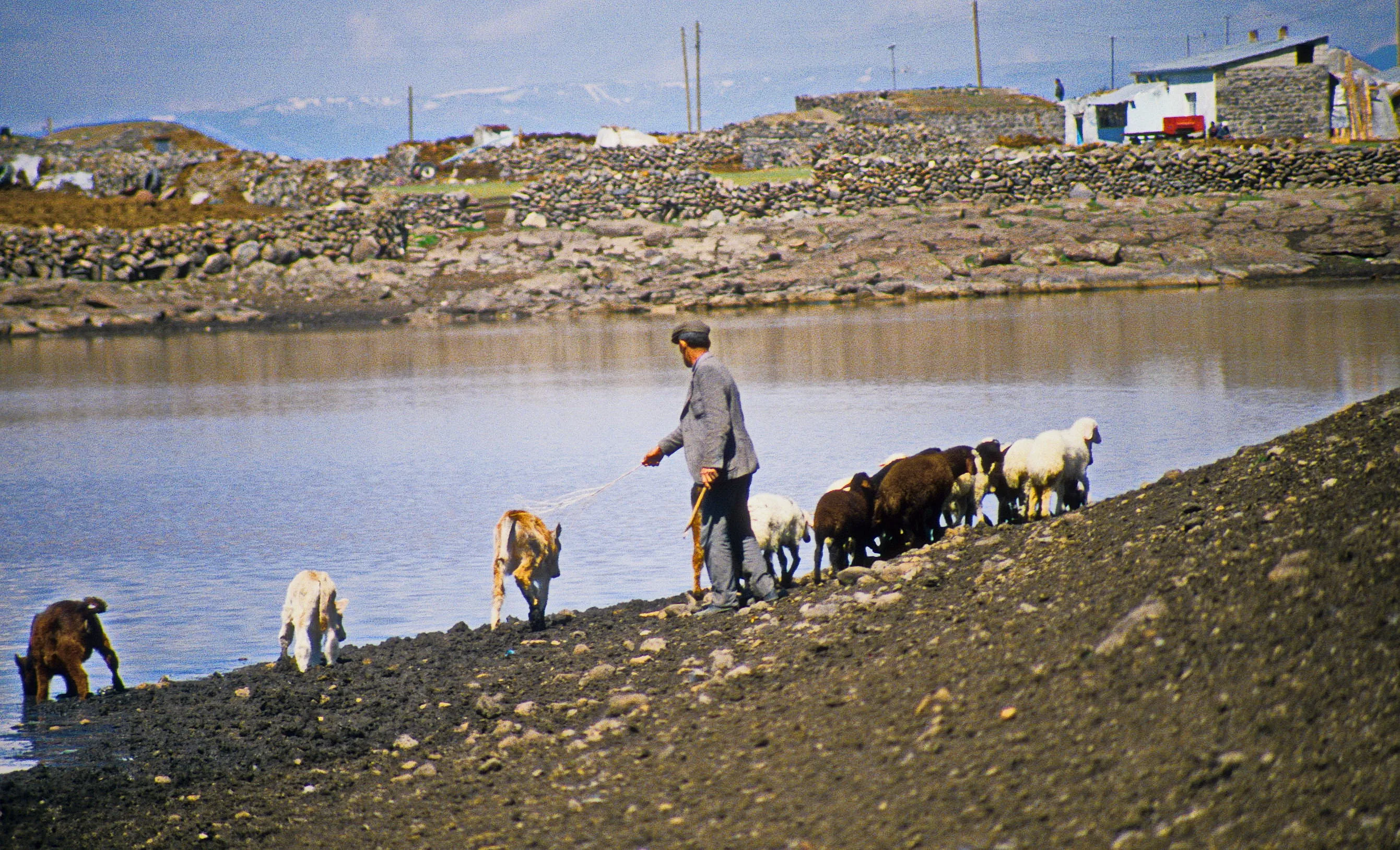 Köyden bir görünüm (Haziran 1989)