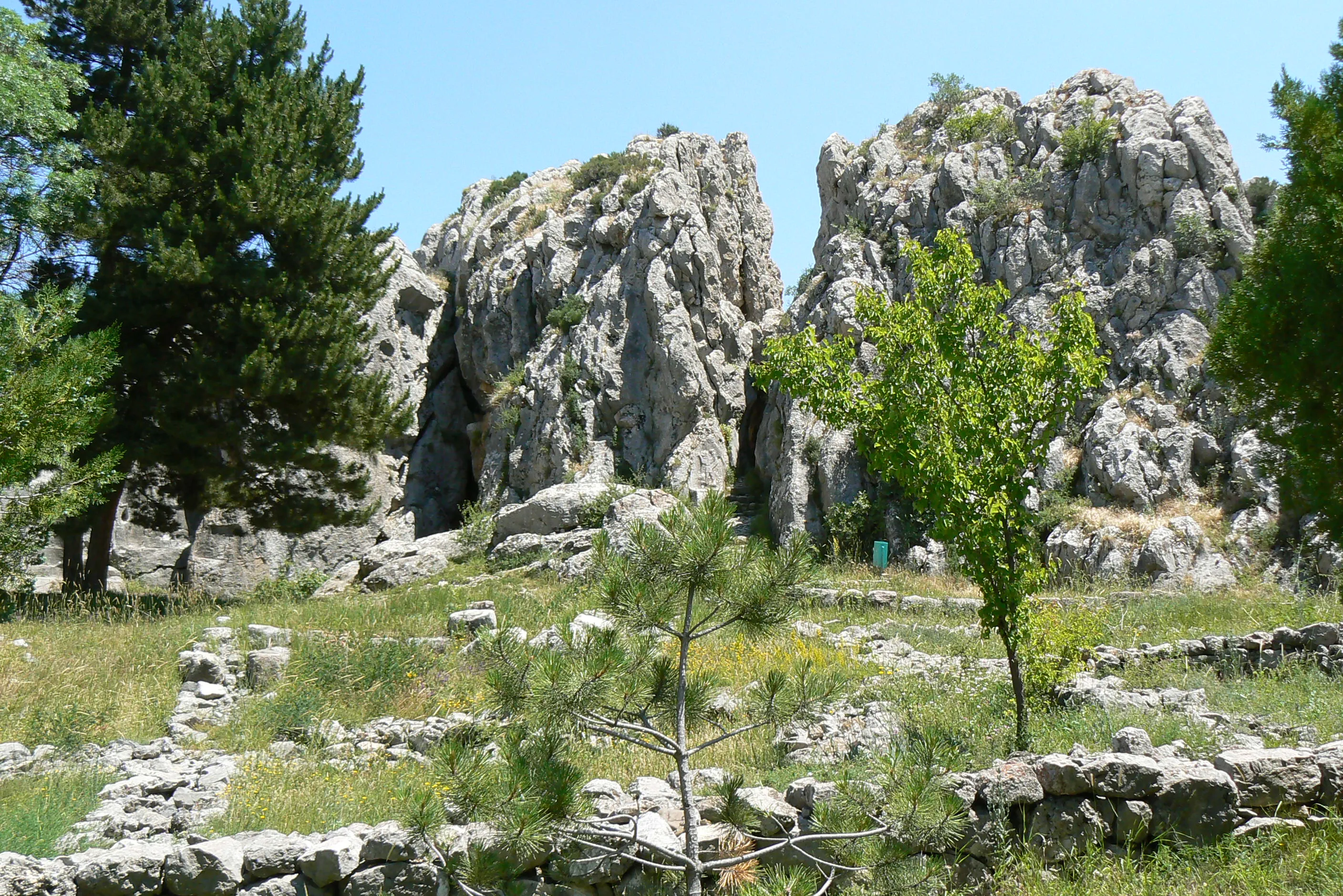 {{{açıklama}}}