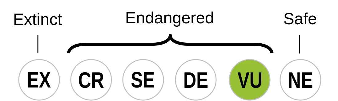 Görsel