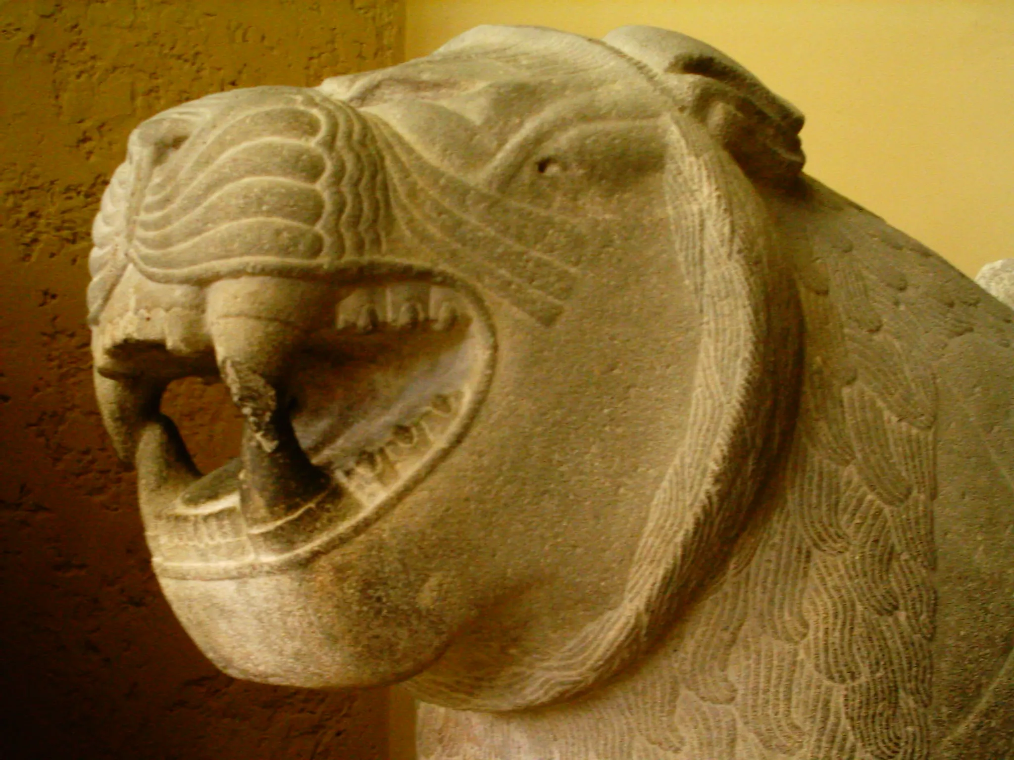 Görsel